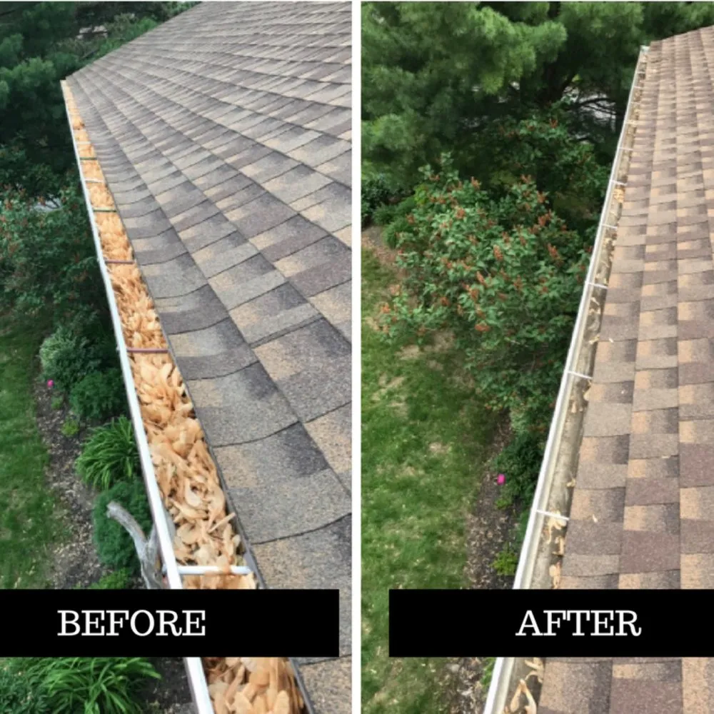 Professional landscape design in Queens, NY - Suds