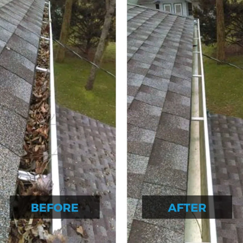 Expert yard cleanup service near you across Queens, NY - Suds