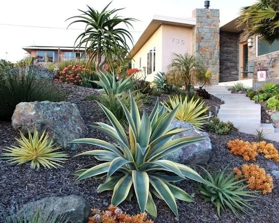 Local landscape installation in Canyon Lake, CA by Sudweeks Construction