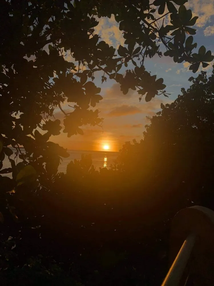 Custom landscaping services in Joplin, MO - Sue & Joe's Family Mowing