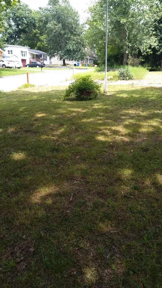 Expert landscape installation with custom design across Joplin, MO - Sue & Joe's Family Mowing