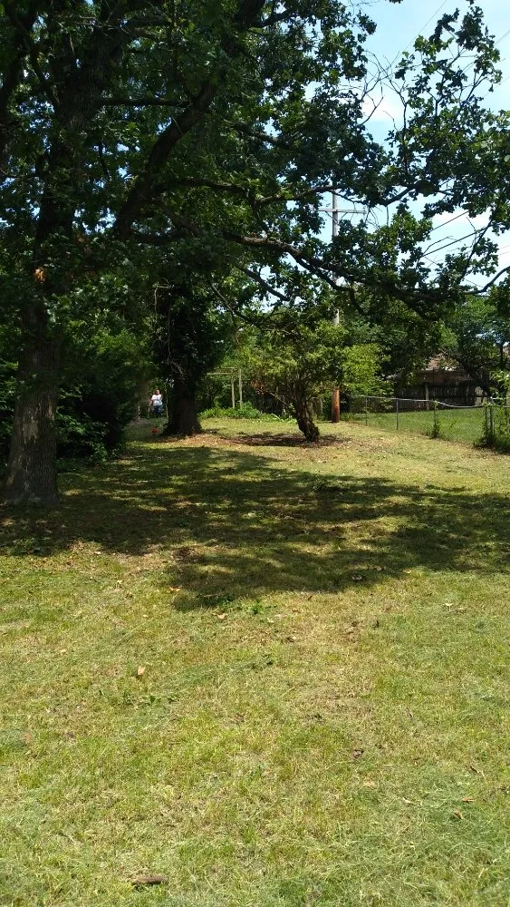 Expert outdoor landscaping experts serving Joplin, MO - Sue & Joe's Family Mowing