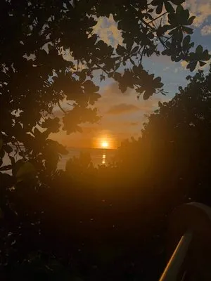 Sue & Joe's Family Mowing Logo