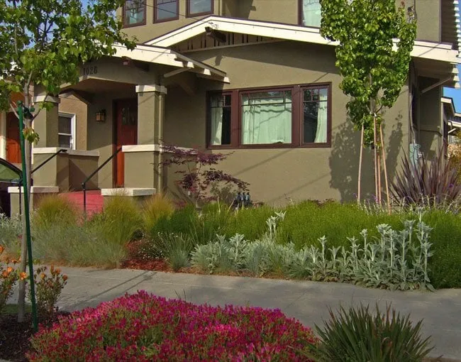 Expert lawn care service in El Cerrito, CA by Sue Oda