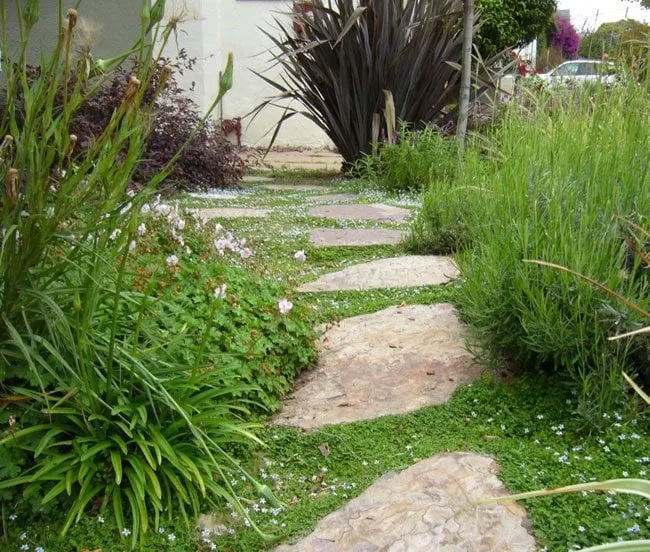 Top-rated landscaping services in El Cerrito, CA - Sue Oda