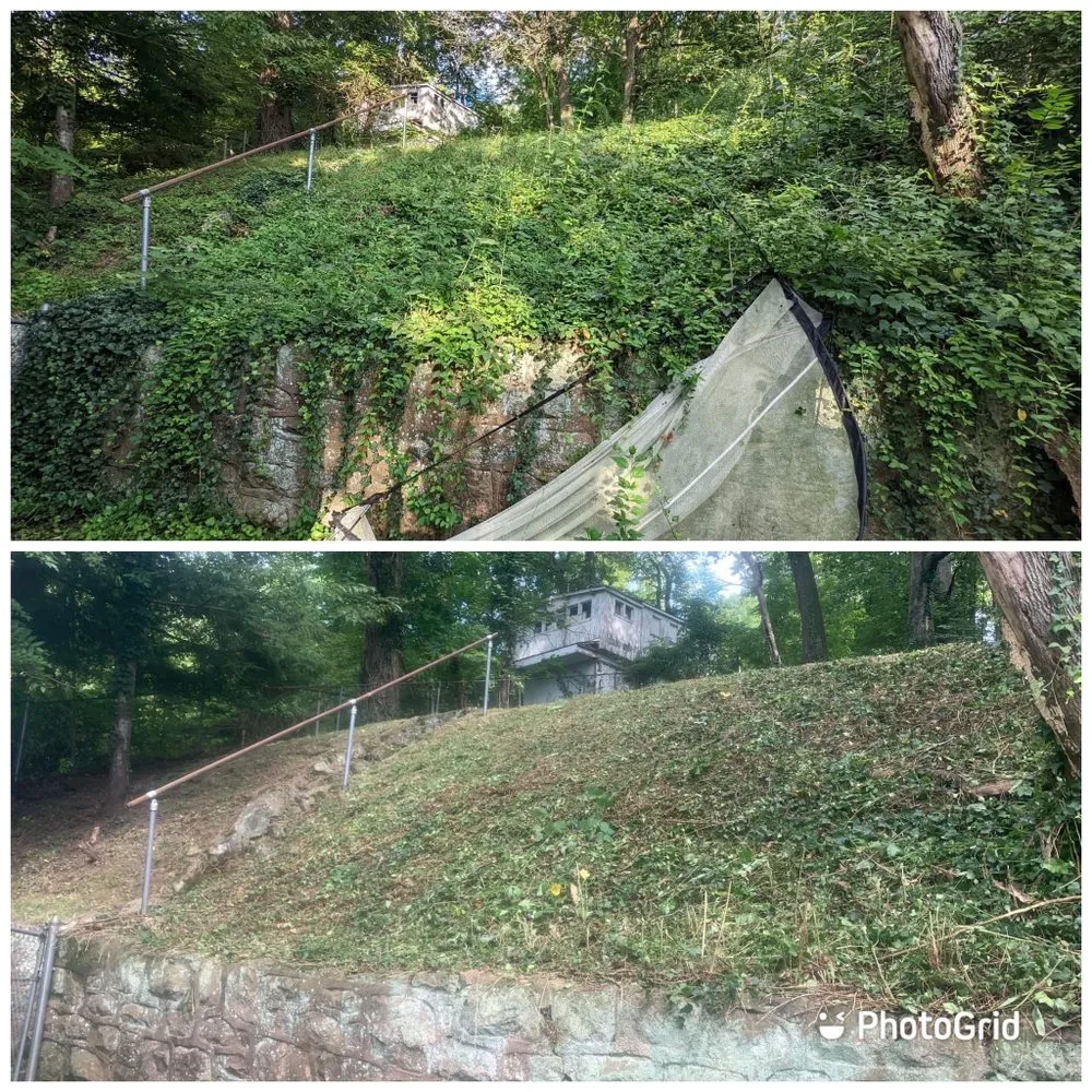 Professional yard maintenance experts serving Logan, WV - Sue’s Renovations