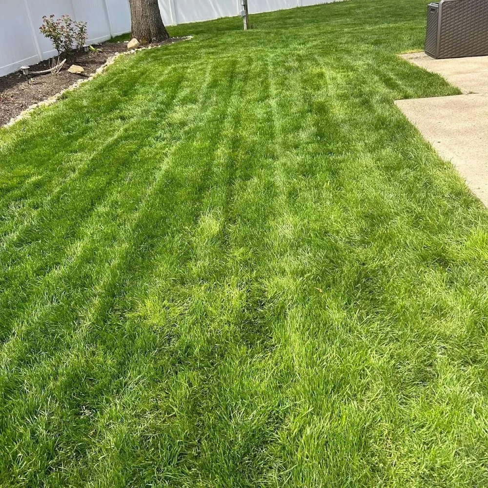 Professional lawn care service for residential properties across Long Island, NY - Suffolk Serenity Landscaping