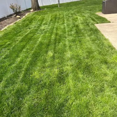 Suffolk Serenity Landscaping