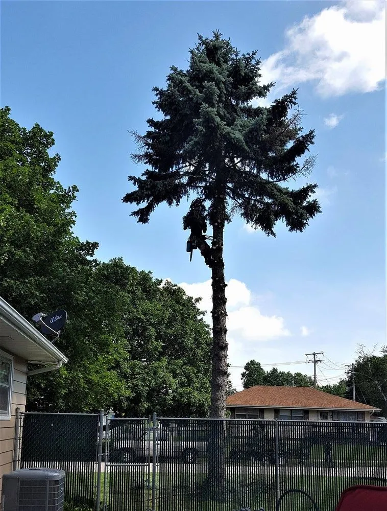 Local lawn care service in Bloomington, IL - Sugar Creek Landscaping & Tree Service