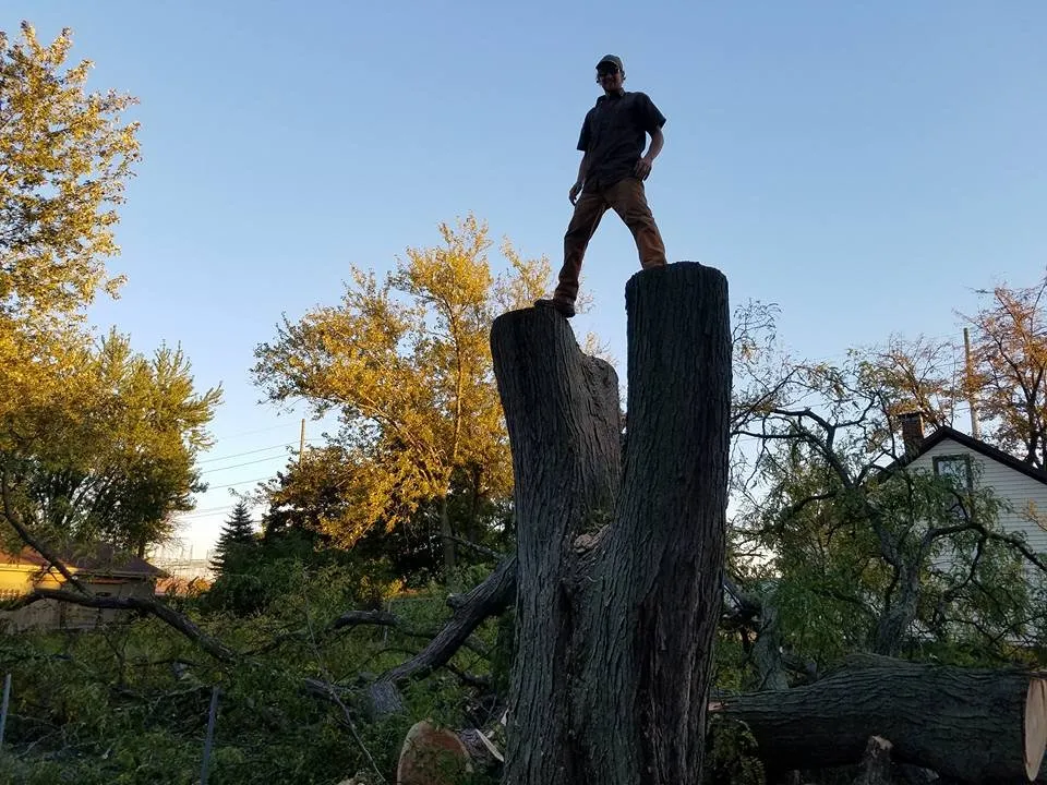 Trusted landscape design with custom design across Bloomington, IL - Sugar Creek Landscaping & Tree Service