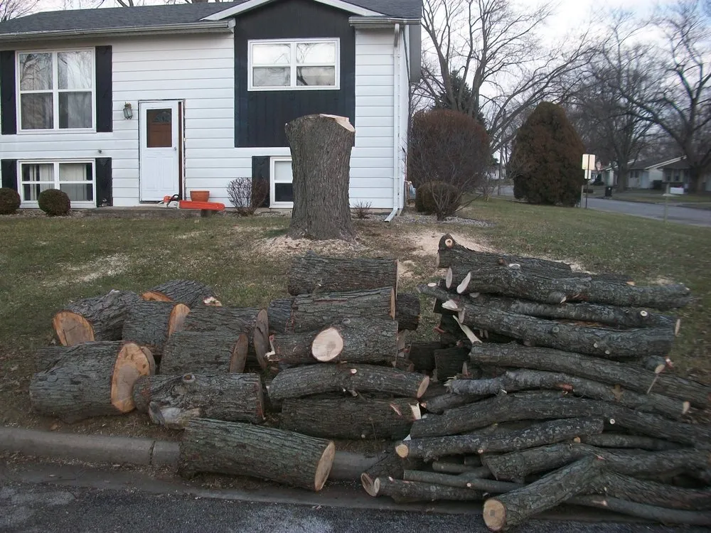 Reliable garden landscaping with custom design across Bloomington, IL - Sugar Creek Landscaping & Tree Service