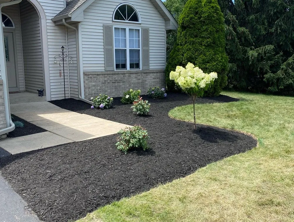 Expert lawn care service for outdoor upgrades across Elkhorn, WI - Sugar Creek Landscaping