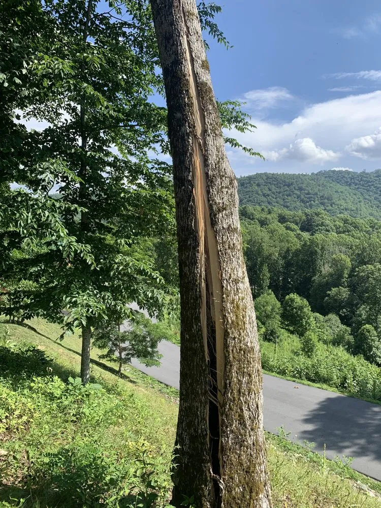 Local yard maintenance experts serving Sugar Grove, NC - Sugar Grove Tree Care