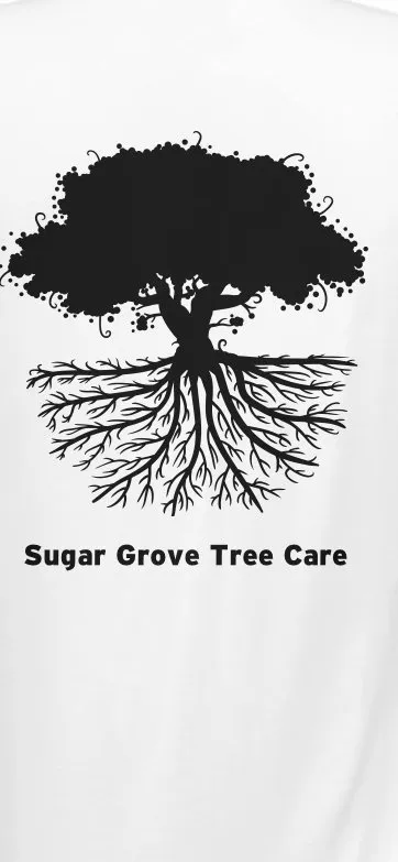 Professional yard maintenance in Sugar Grove, NC by Sugar Grove Tree Care