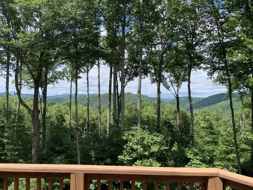 Professional yard cleanup service in Sugar Grove, NC - Sugar Grove Tree Care