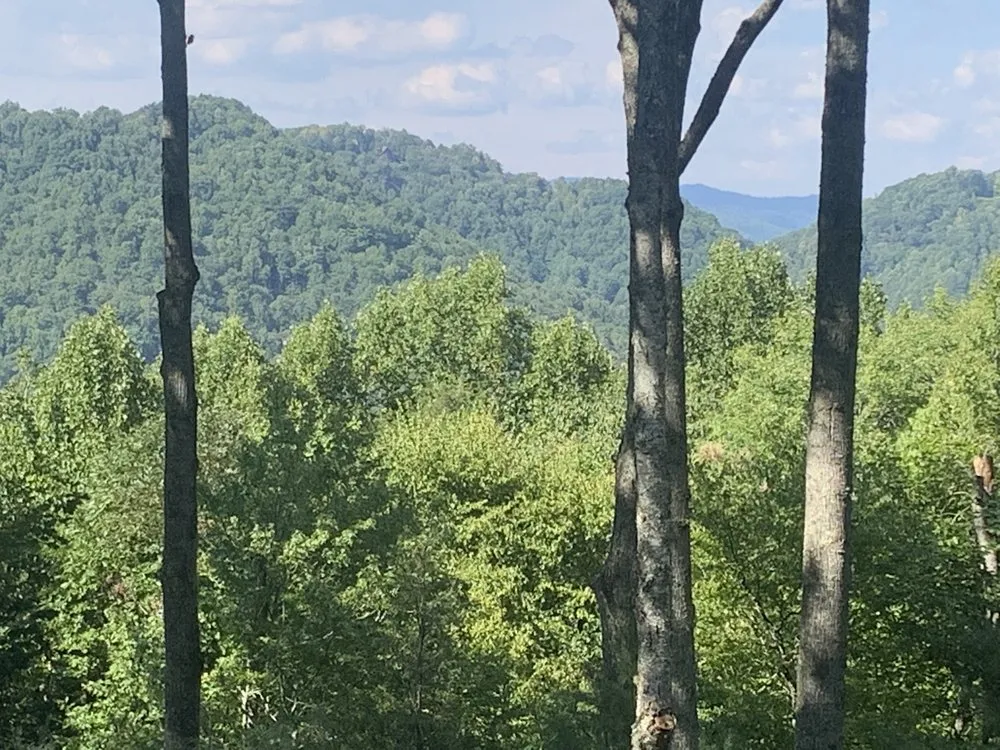 Top-rated landscape installation in Sugar Grove, NC by Sugar Grove Tree Care