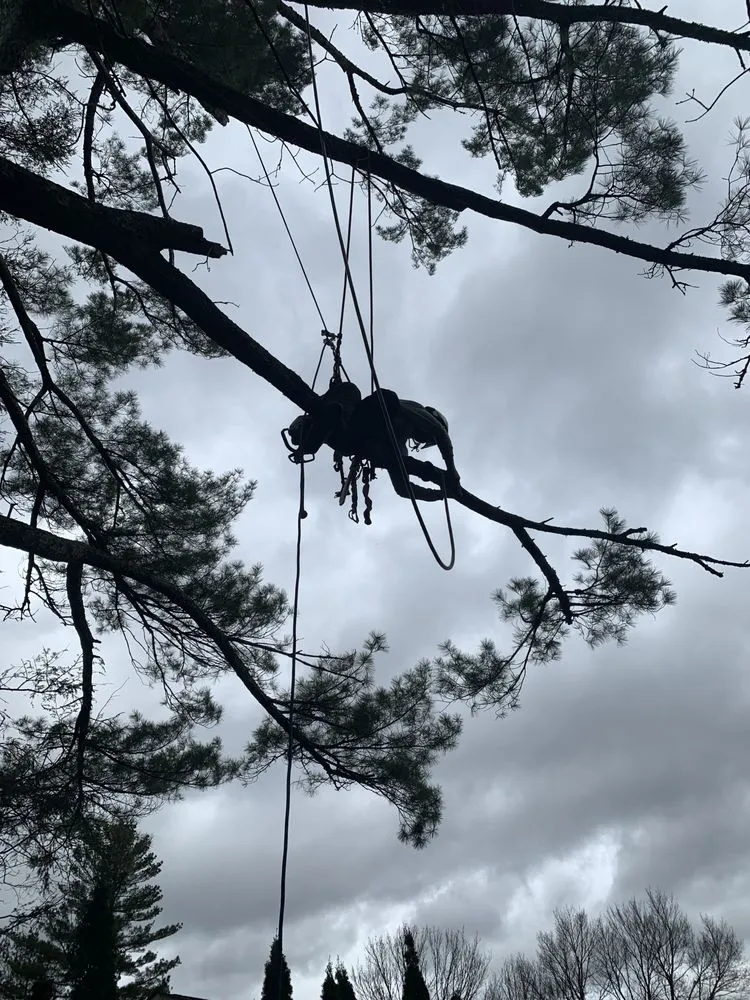 Affordable residential landscaping in Sugar Grove, NC - Sugar Grove Tree Care
