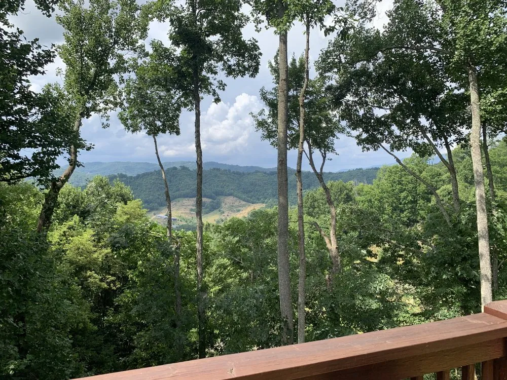 Expert yard cleanup service for outdoor upgrades in Sugar Grove, NC by Sugar Grove Tree Care