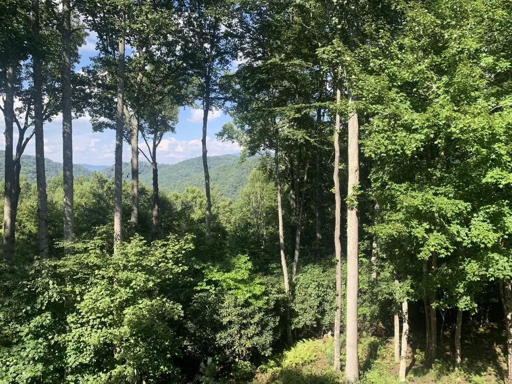Local outdoor landscaping in Sugar Grove, NC - Sugar Grove Tree Care