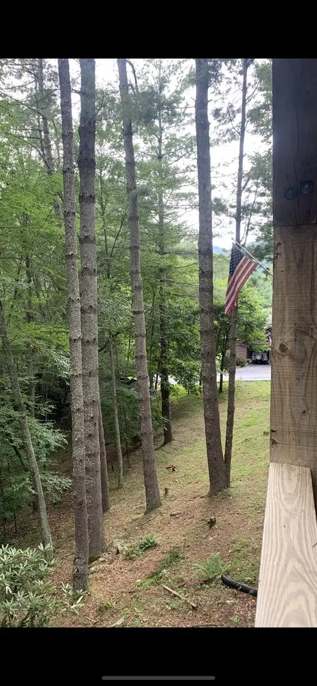 Professional garden landscaping near you in Sugar Grove, NC by Sugar Grove Tree Care