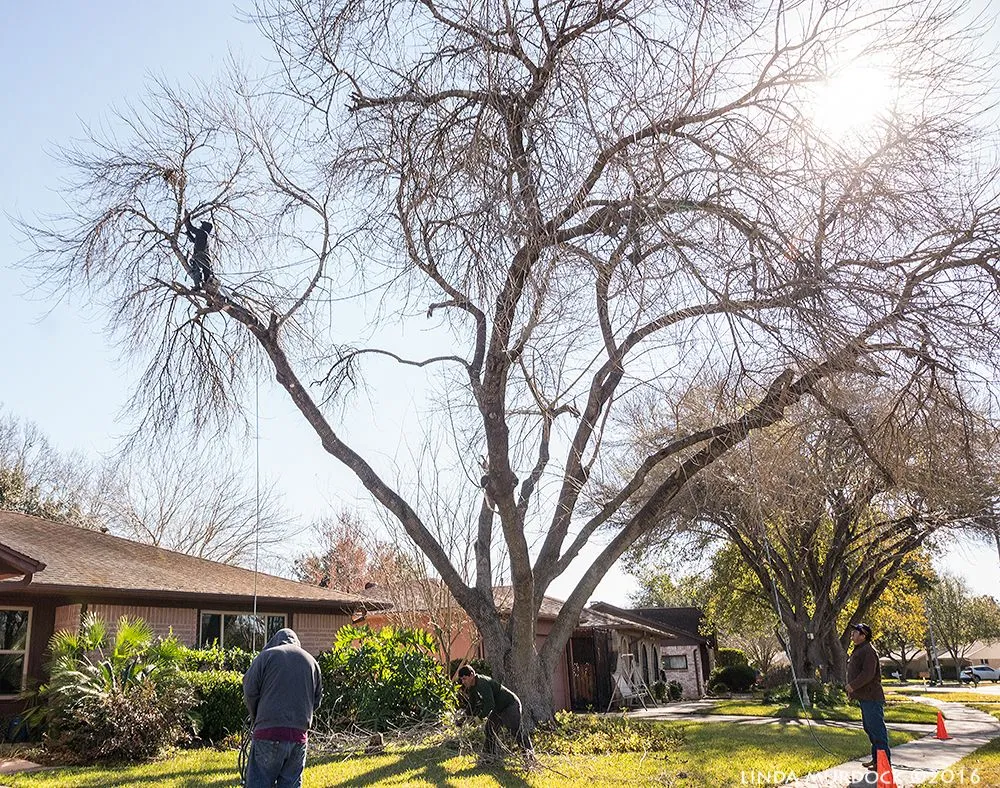 Trusted outdoor landscaping experts serving Sugar Land, TX - Sugar Land Grotech