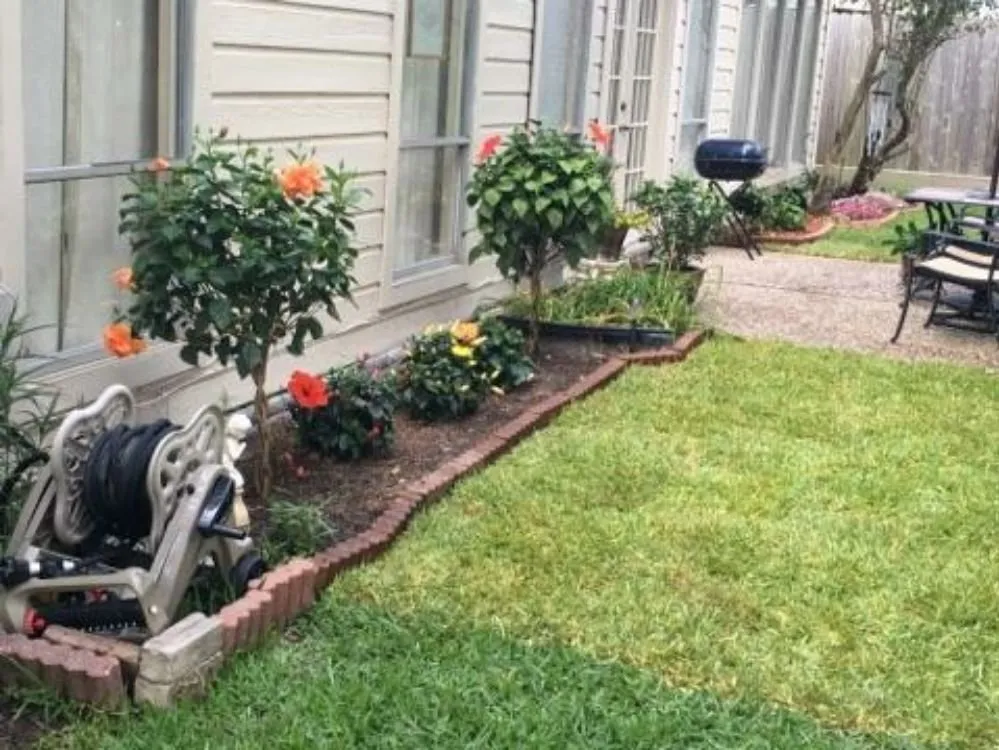 Local yard cleanup service in Sugar Land, TX - Sugar Land Grotech