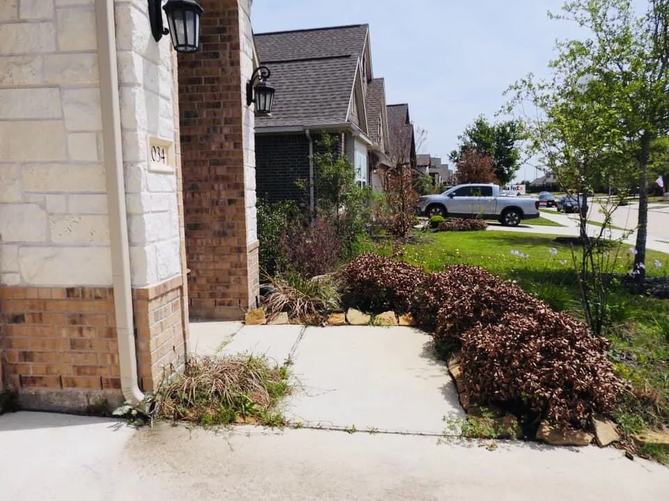Reliable outdoor landscaping in Sugar Land, TX - Sugar Land Irrigation & Maintenance