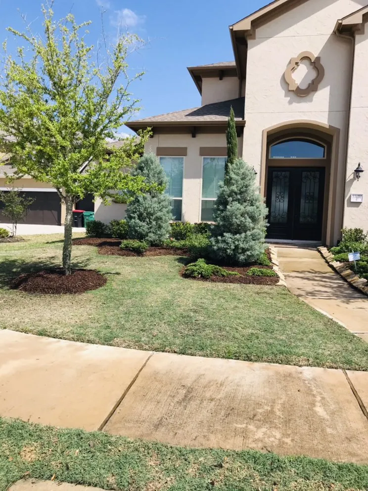 Trusted landscape installation for year-round maintenance across Sugar Land, TX - Sugar Land Irrigation & Maintenance