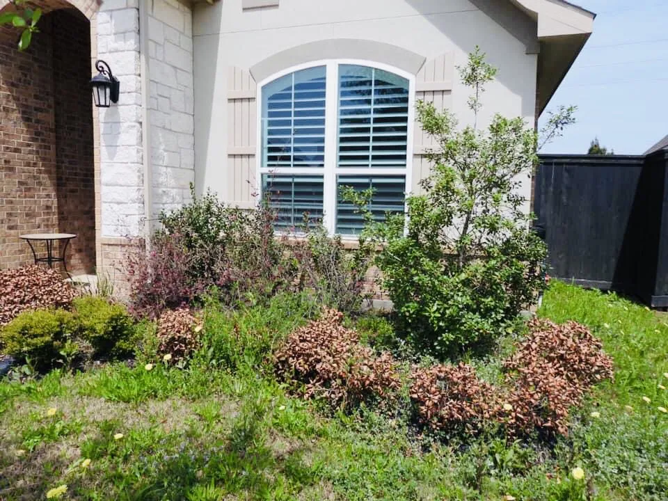 Affordable landscape design in Sugar Land, TX by Sugar Land Irrigation & Maintenance