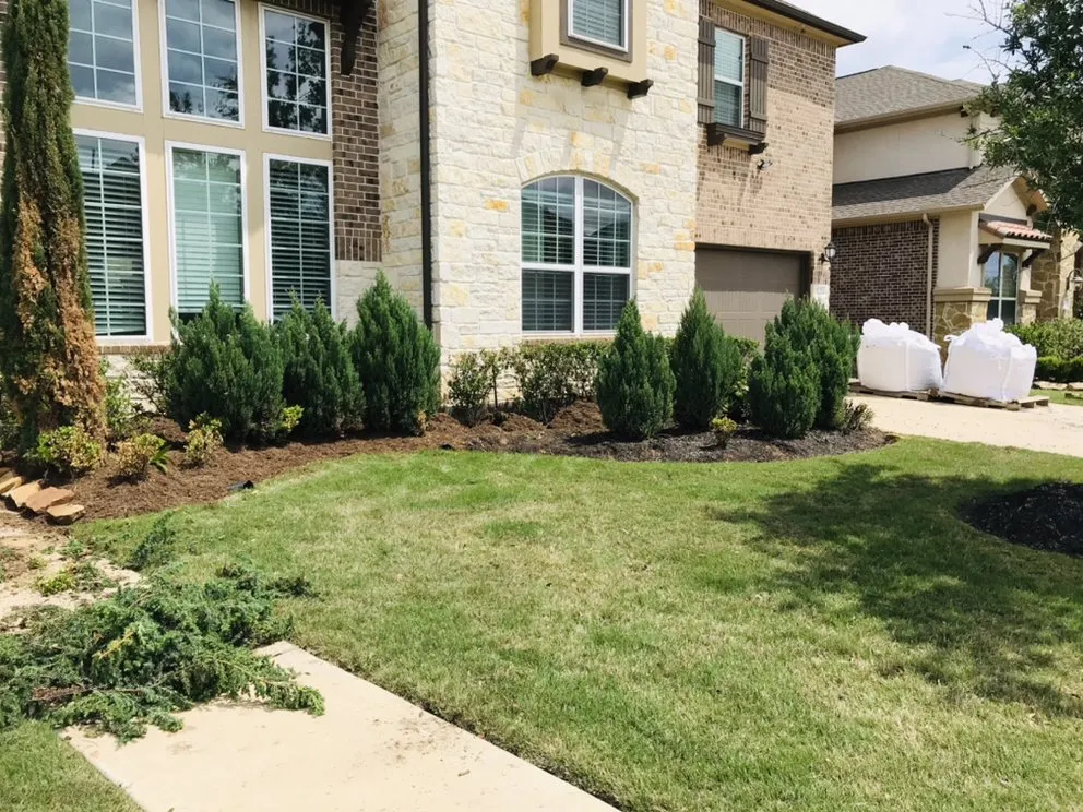 Reliable yard cleanup service in Sugar Land, TX by Sugar Land Irrigation & Maintenance