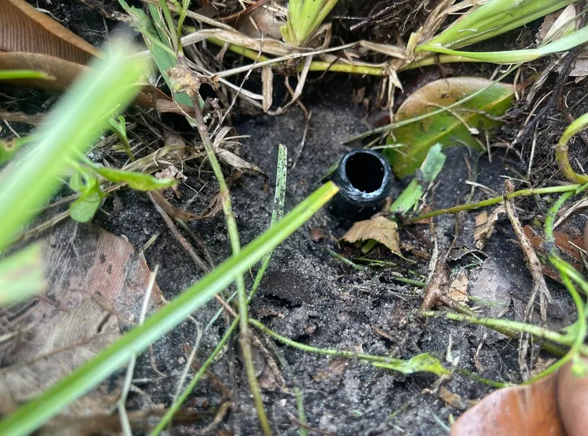 Reliable landscaping services for year-round maintenance in Sugar Land, TX by Sugar Land Irrigation Pros