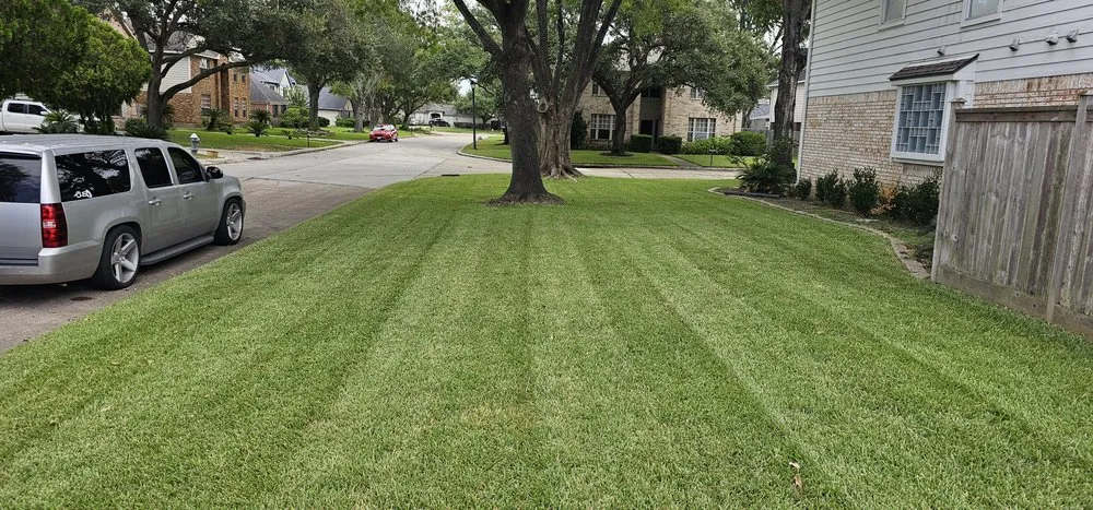 Custom yard cleanup service for residential properties across Sugar Land, TX - Sugar Land Turf Pros
