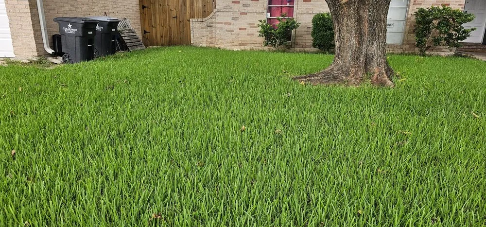 Expert yard maintenance in Sugar Land, TX by Sugar Land Turf Pros