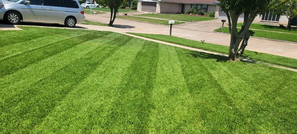 Top-rated landscape installation for year-round maintenance across Sugar Land, TX - Sugar Land Turf Pros