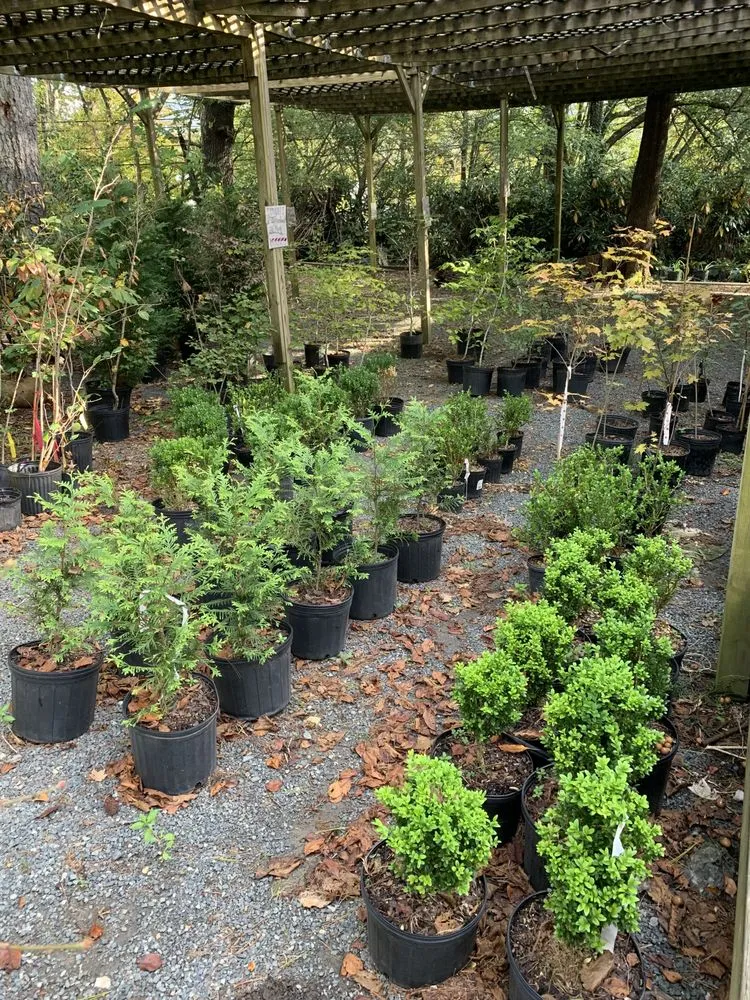 Custom garden landscaping for homes in Newland, NC by Sugar Mountain Nursery