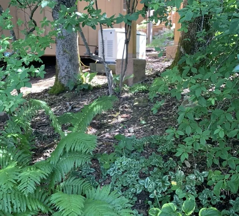 Trusted landscape design near you in Newland, NC by Sugar Mountain Nursery
