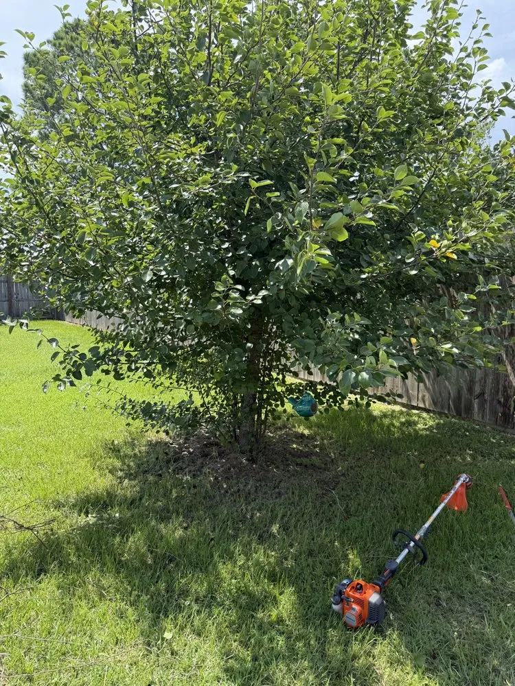 Expert residential landscaping in Gulf Breeze, FL by Sugar Shores Landscaping