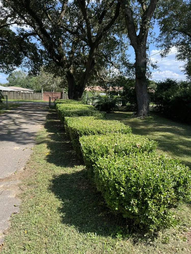 Reliable landscaping services for year-round maintenance in Gulf Breeze, FL by Sugar Shores Landscaping