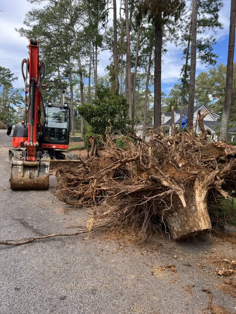 Trusted lawn care service for beautiful yards across Gulf Breeze, FL - Sugar Shores Landscaping