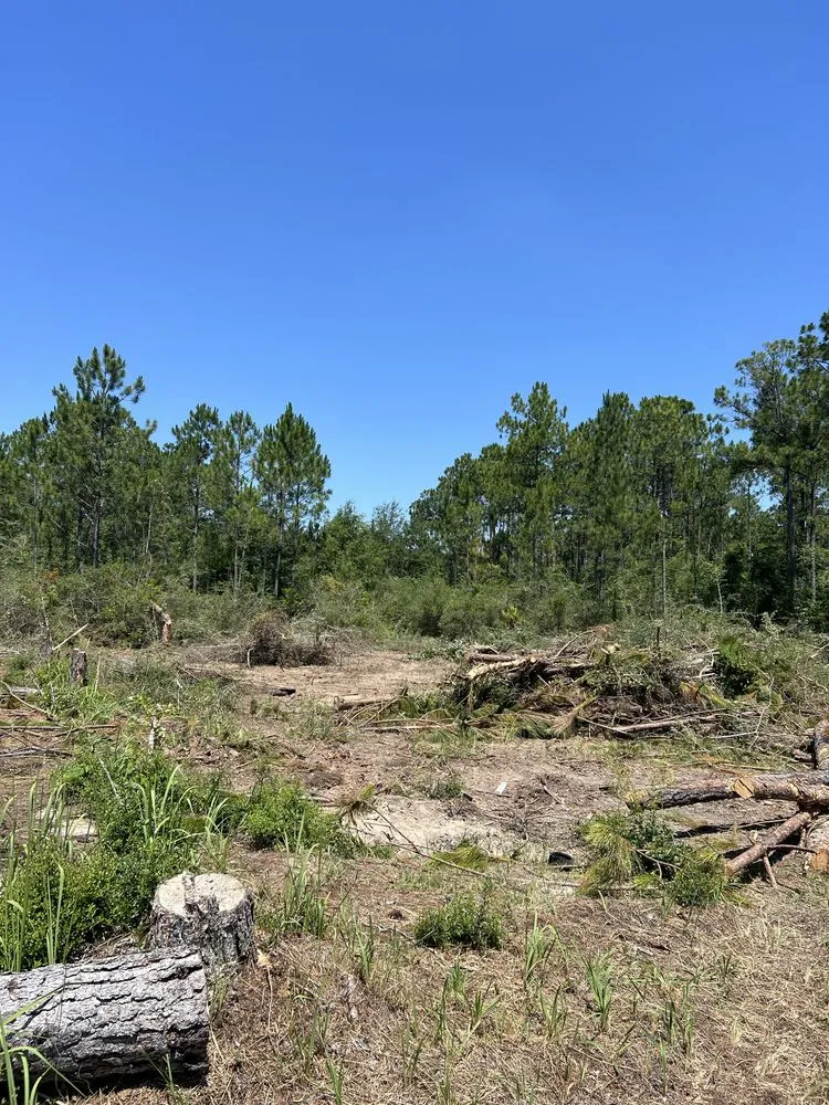 Reliable outdoor landscaping for outdoor upgrades across Gulf Breeze, FL - Sugar Shores Landscaping