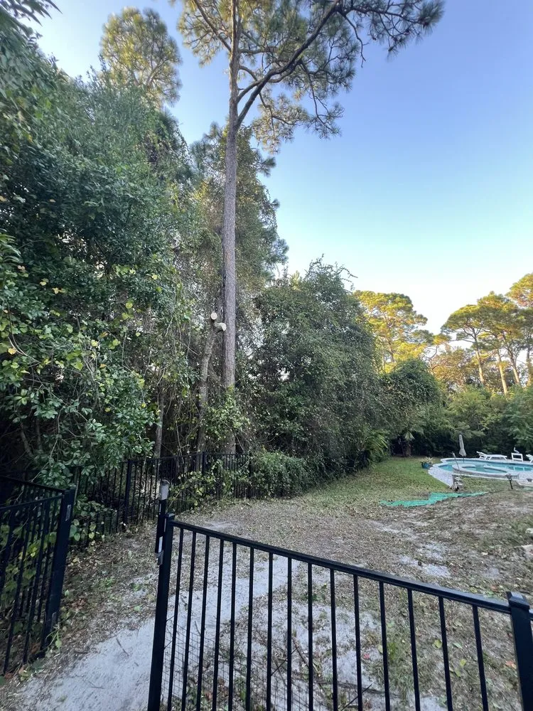 Expert landscape installation in Gulf Breeze, FL - Sugar Shores Landscaping