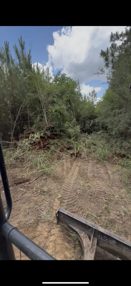 Local landscape design for beautiful yards across Gulf Breeze, FL - Sugar Shores Landscaping