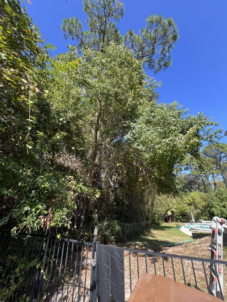 Expert landscape design in Gulf Breeze, FL - Sugar Shores Landscaping