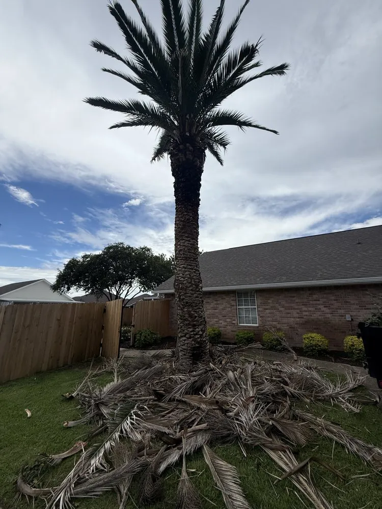 Custom lawn mowing service in Gulf Breeze, FL by Sugar Shores Landscaping