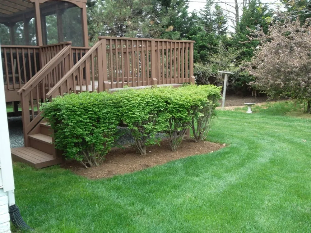 Expert yard maintenance for residential properties across Ijamsville, MD - Sugarloaf Lawn Care