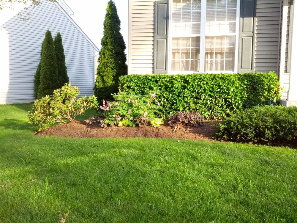 Reliable yard cleanup service in Ijamsville, MD - Sugarloaf Lawn Care