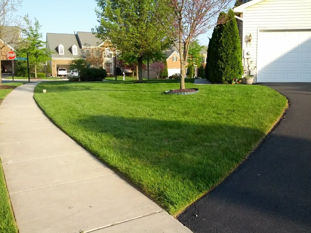 Local yard maintenance in Ijamsville, MD - Sugarloaf Lawn Care