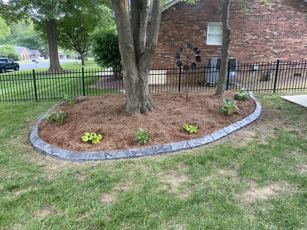 Trusted residential landscaping with custom design in Charlotte, NC by Suitable Investments