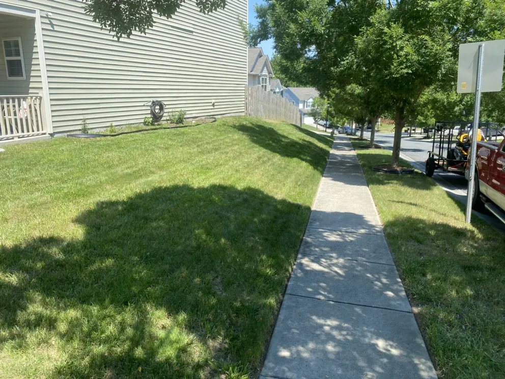 Custom yard maintenance in Charlotte, NC - Suitable Investments