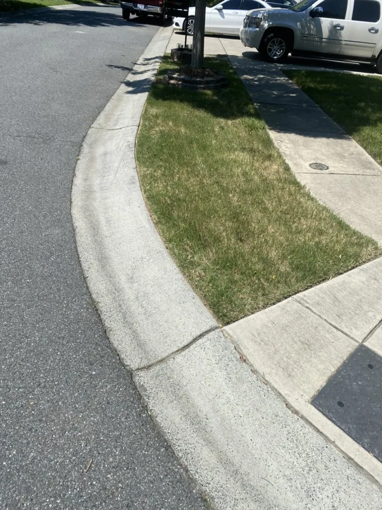 Affordable lawn care service experts serving Charlotte, NC - Suitable Investments